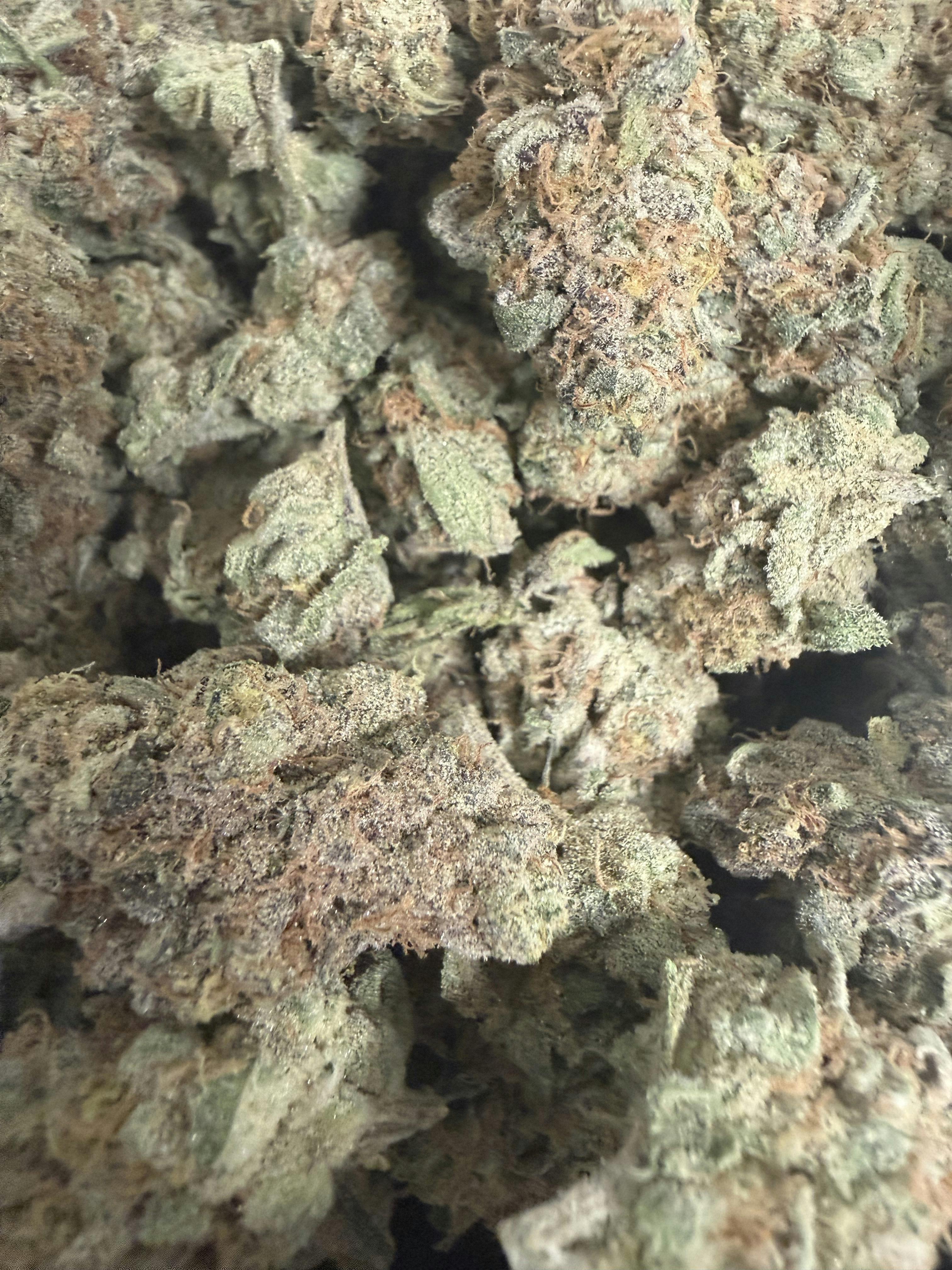 ECO | Purple Starfruit | Indica