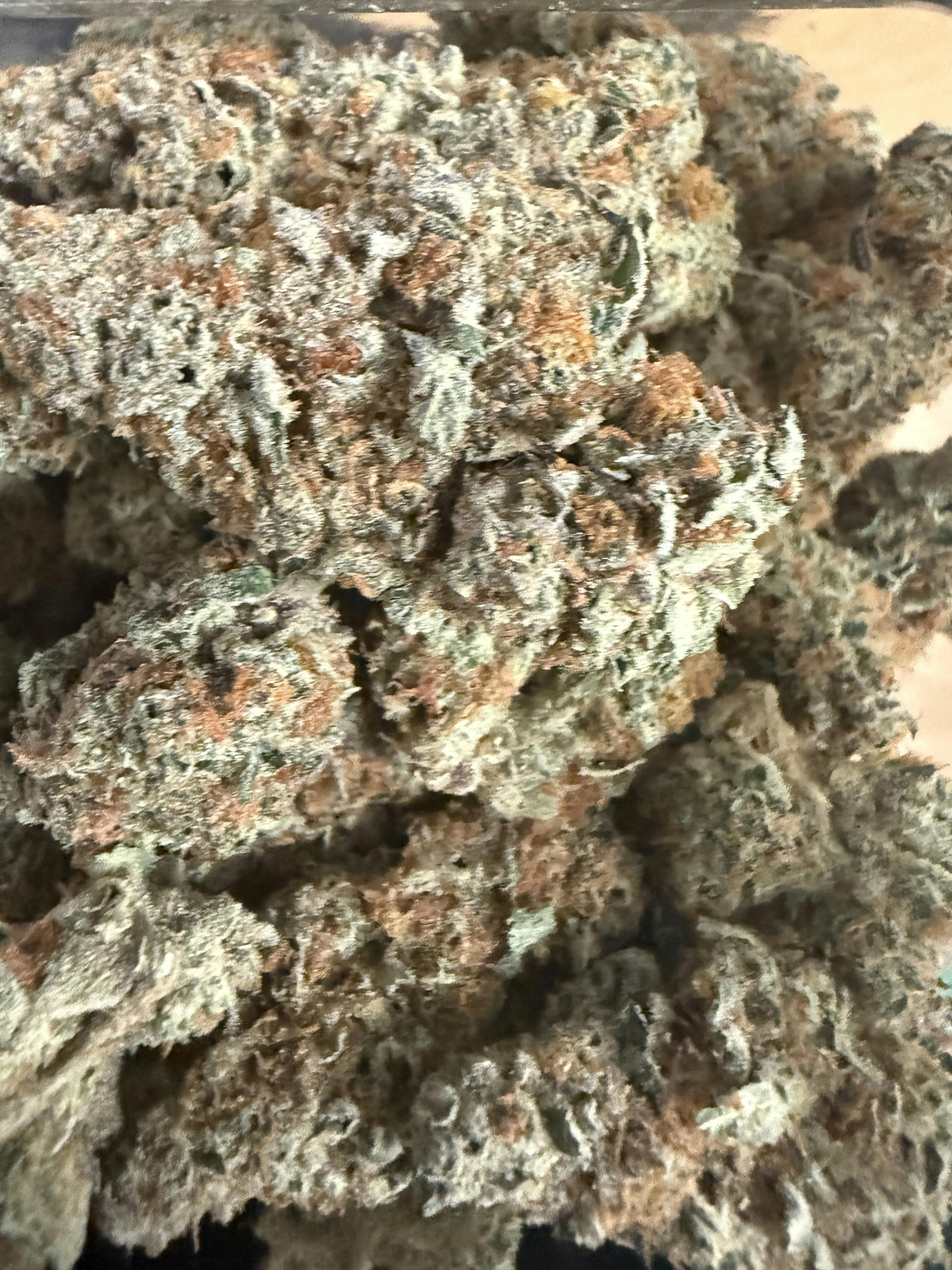 Herbal Dreams | Fruit Breath | Sativa