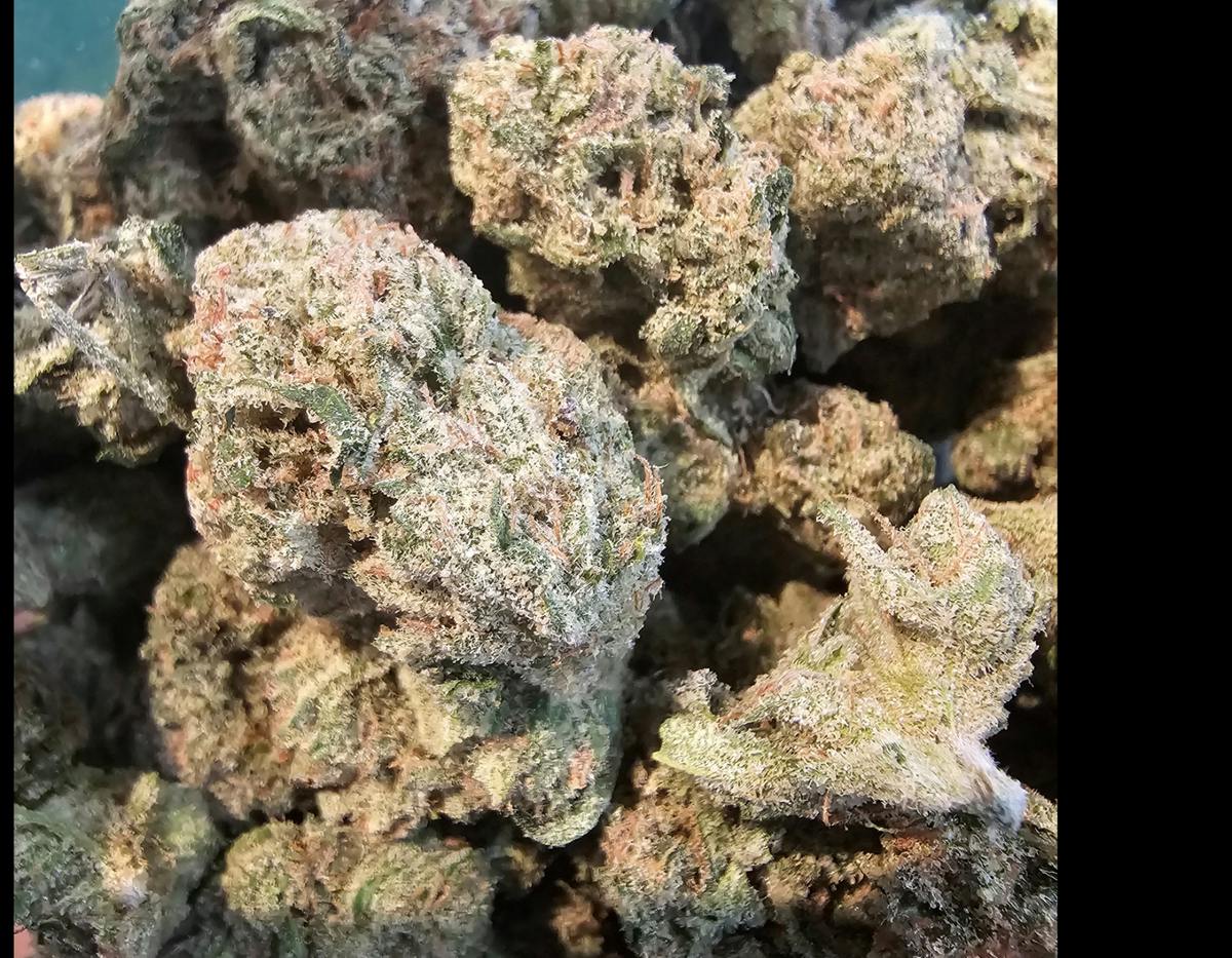 Sub-Zero | Sativa-Hybrid