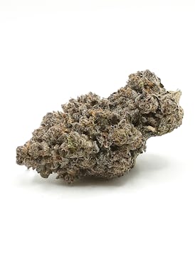 Gladiator-Gelato Cake (IH)