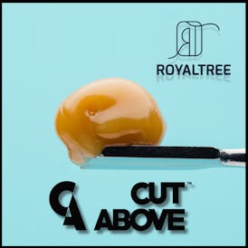 Cut Above-Live Rosin 1g - Gelato (H)