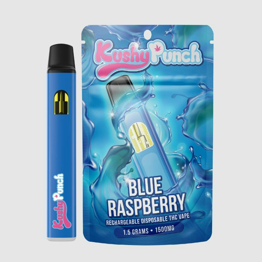 Blue Raspberry | Disposable | 1g