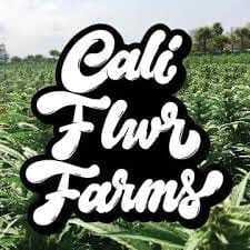 Cali Flwr Farm - Maui Wowie Smalls (7g) - 7 grams