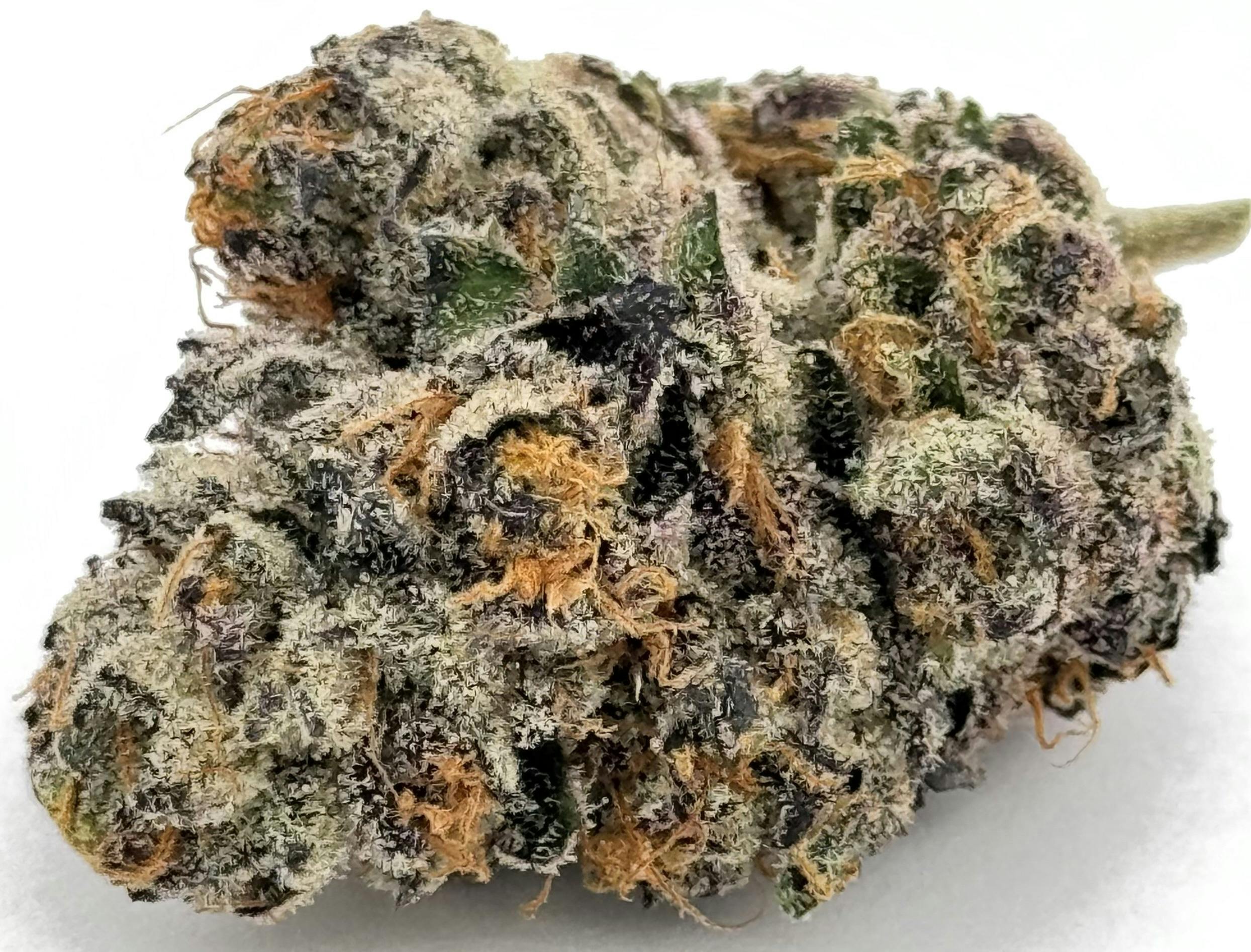 Ayo: Flower | Sour Zoda