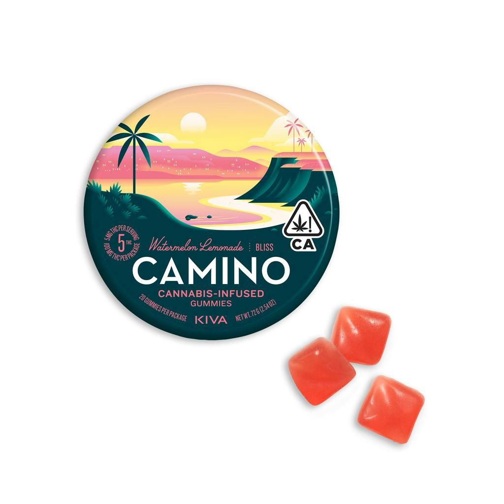 CAMINO: Camino Watermelon Lemonade