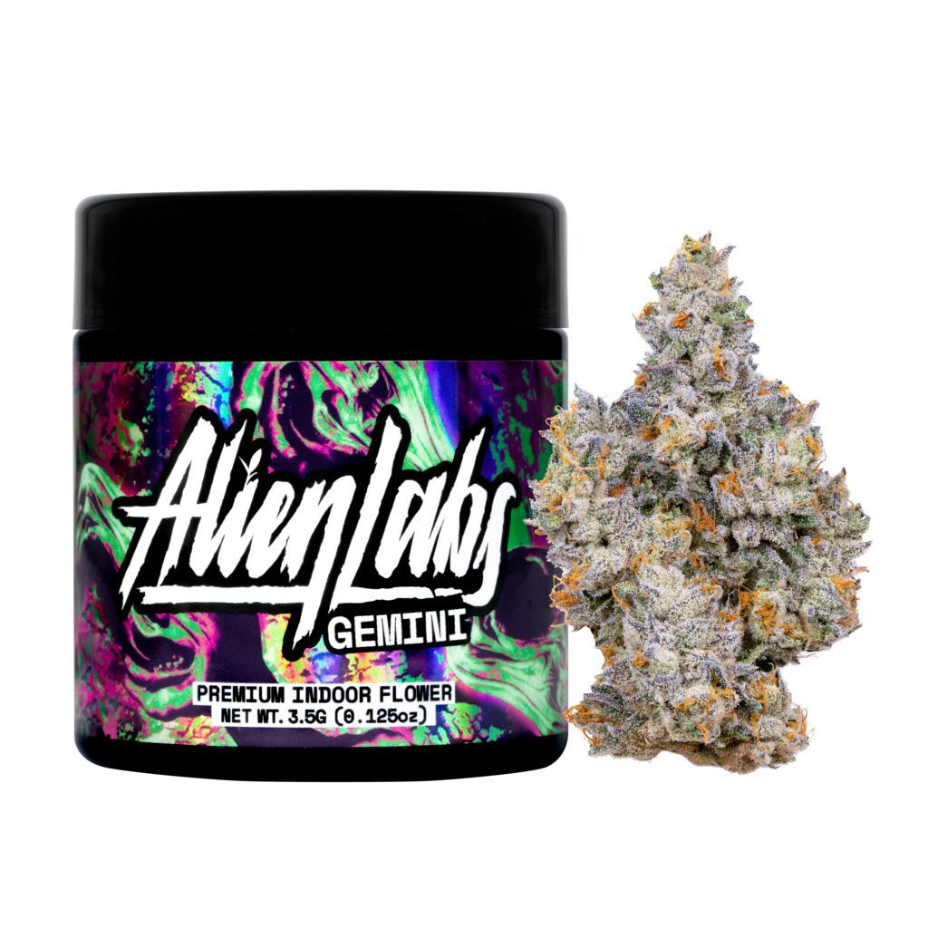 Alien Labs: Gemini