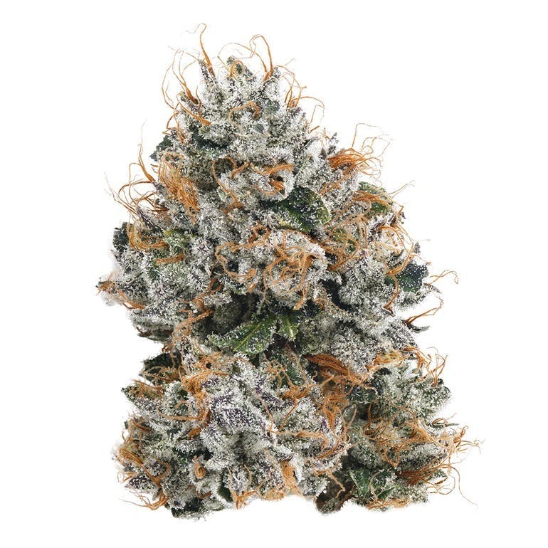 Cannabiotix — Kush Mountains