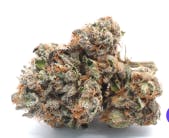 Alien Labs — Planetary OG