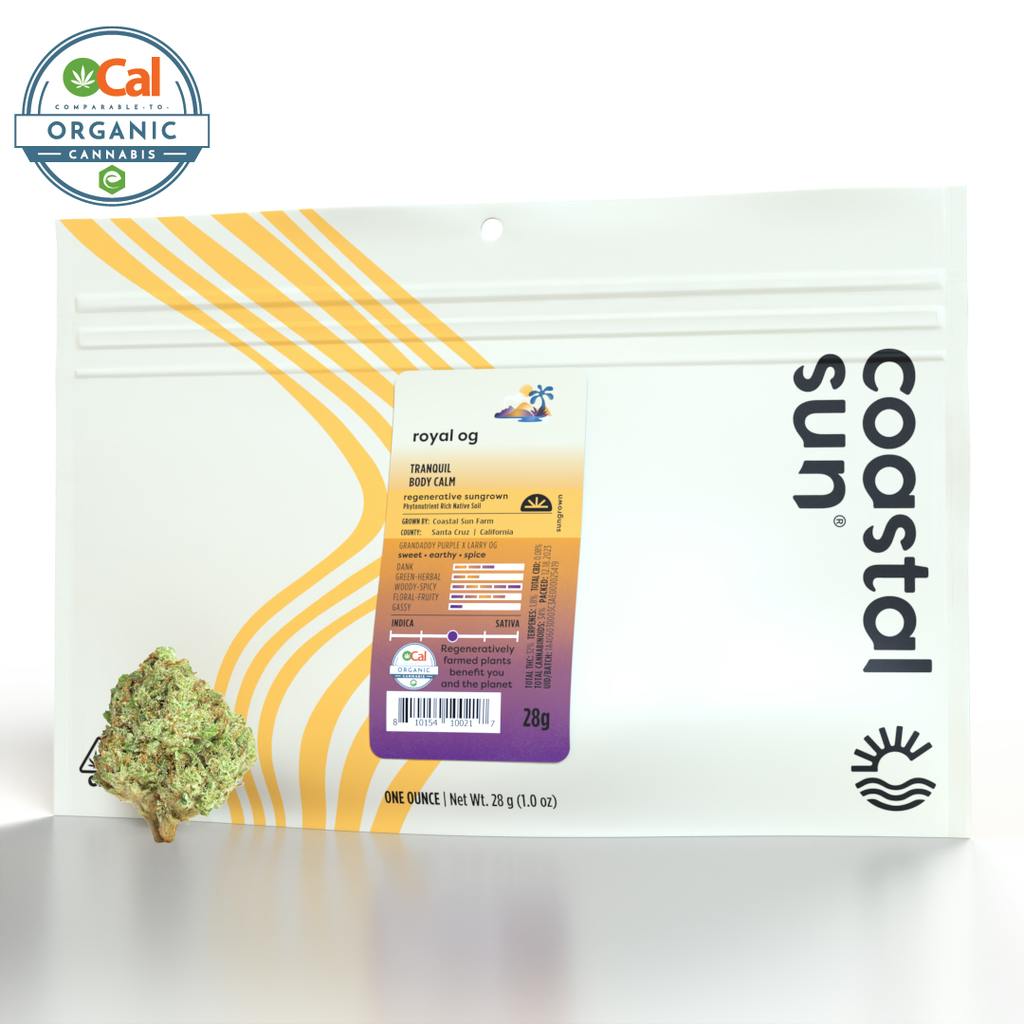 Coastal Sun Royal — OG