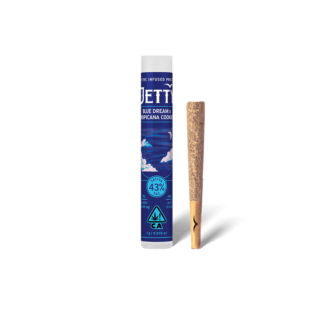 Jetty Extracts Blue — Dream X Tropicana Cookies