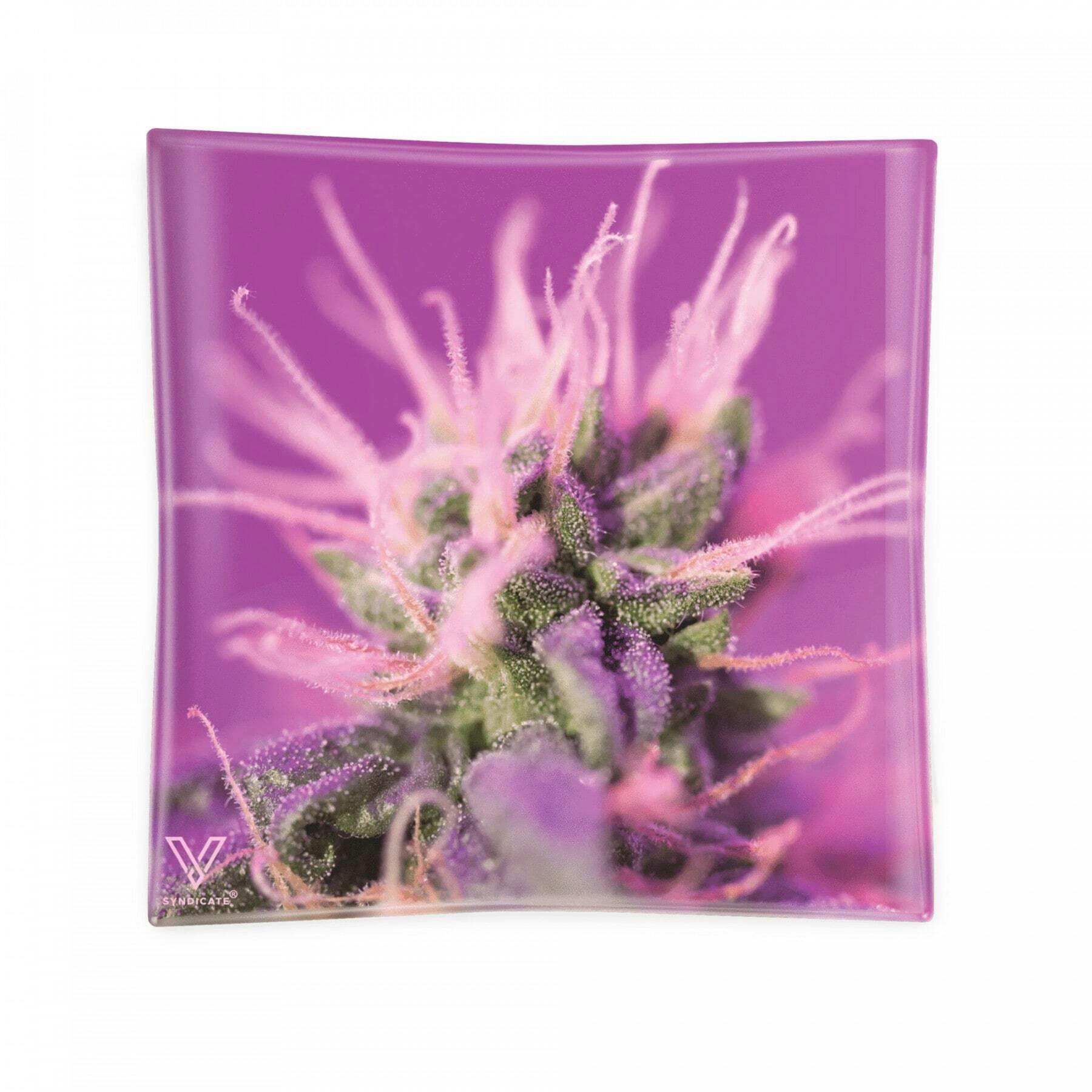 Ashtray - Pink Limonade