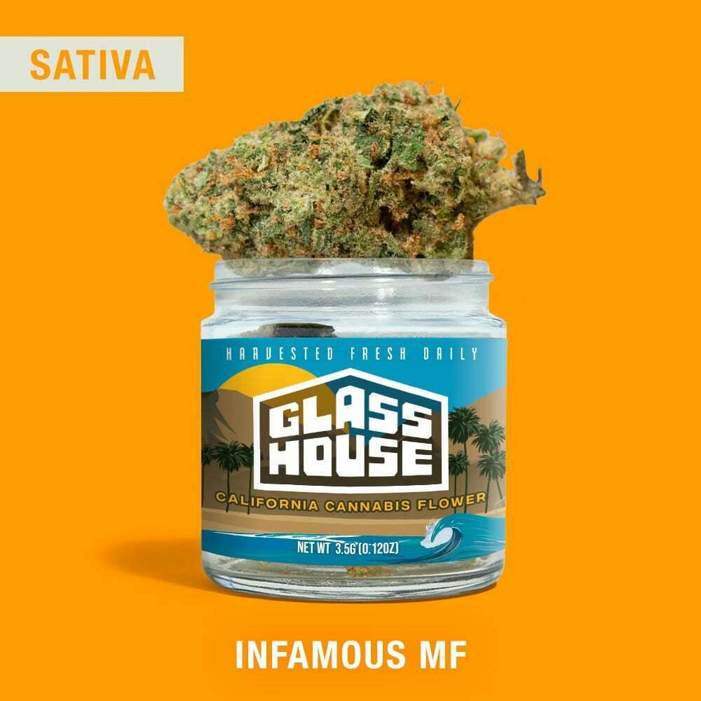 Infamous MF at Greenwolf Bellflower