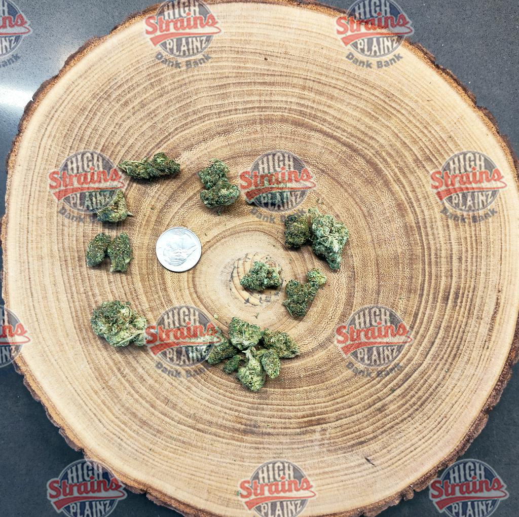High Plainz Higher Shelf Gary Payton Bulk