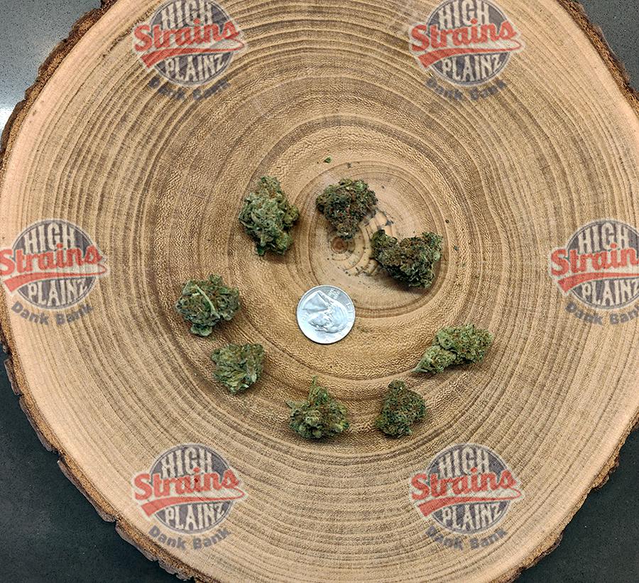 High Plainz Highest Shelf Gummy Worms Bulk