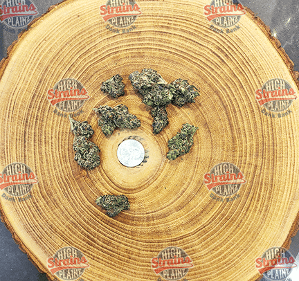 High Plainz Silver PW Beaver Cookies Bulk PW