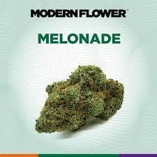 Melonade
