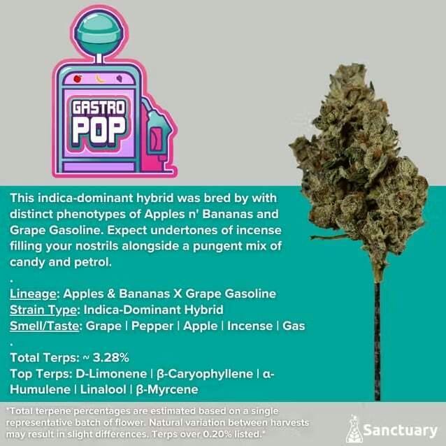 Gastro Pop Buds at Full Harvest Moonz - Haverhill Dispensary