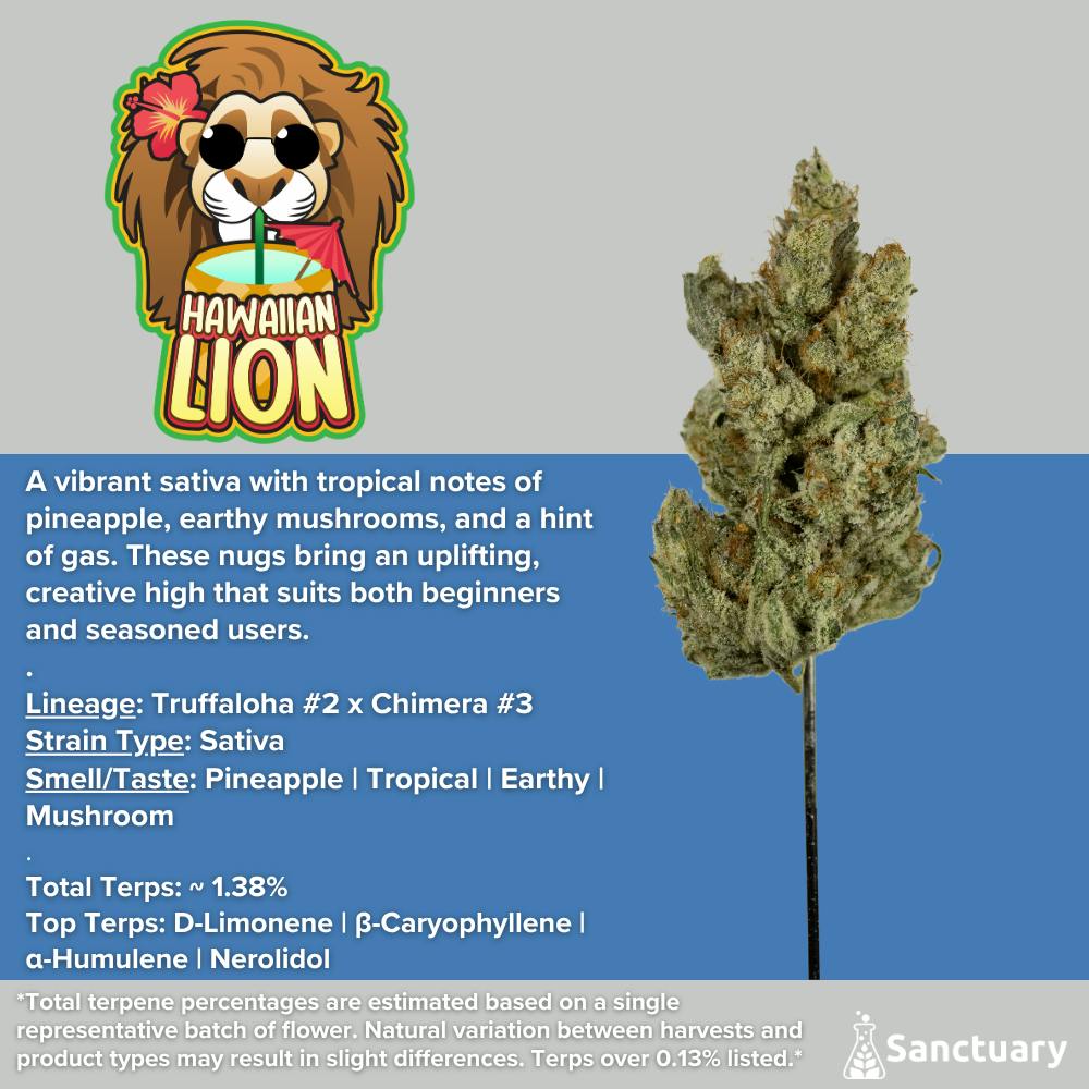 Hawaiian Lion Buds at Full Harvest Moonz - Haverhill Dispensary