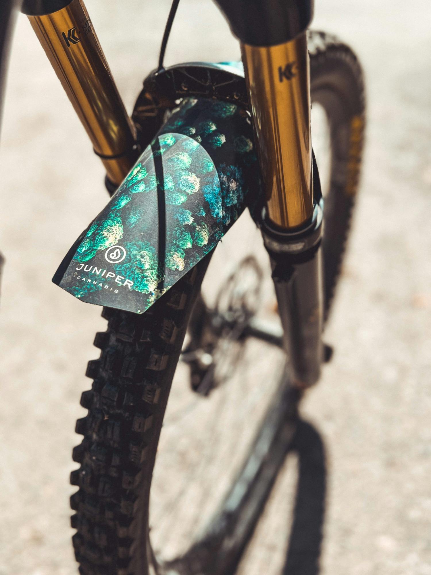 Bike Fender