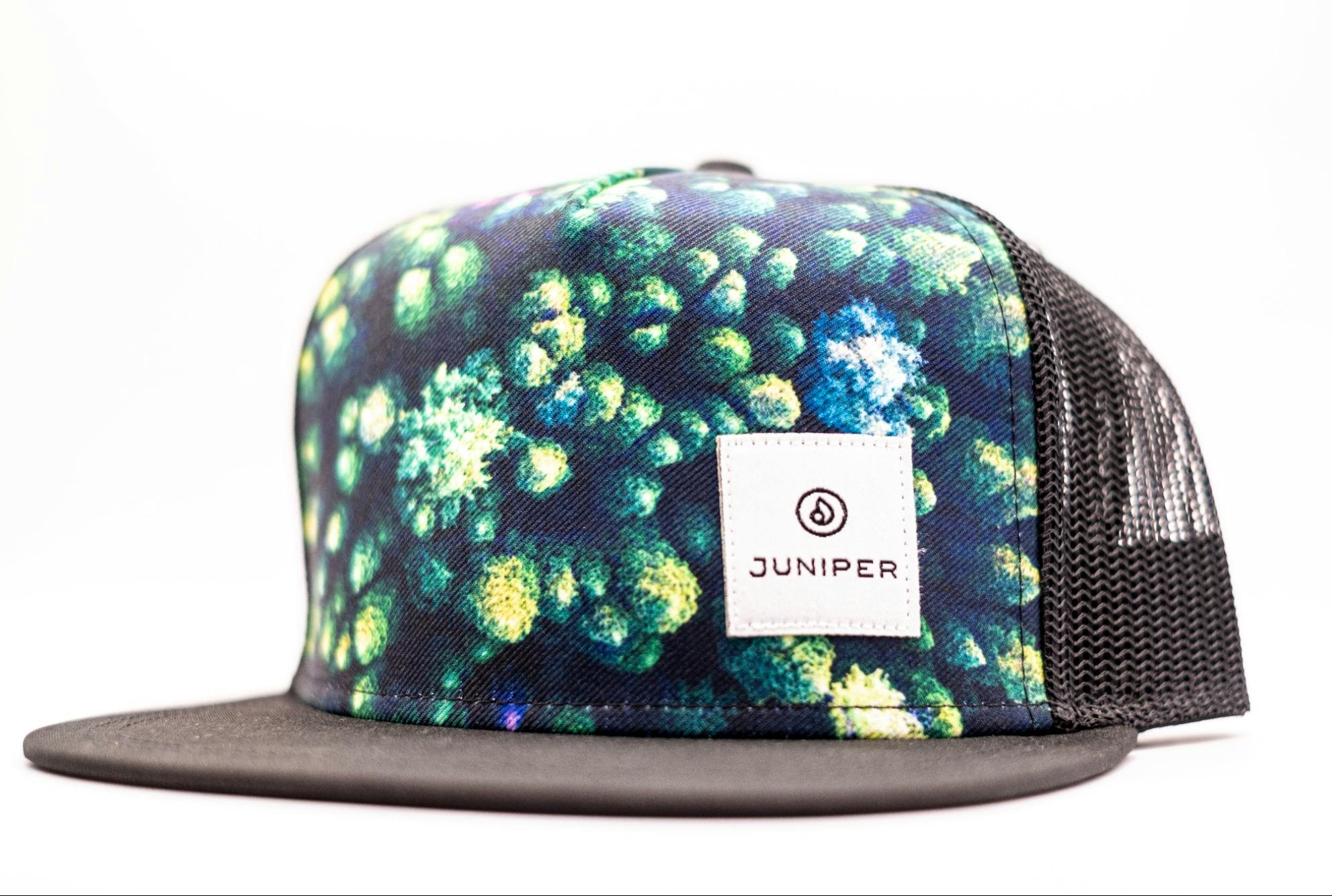 Hat | Snapback Spring