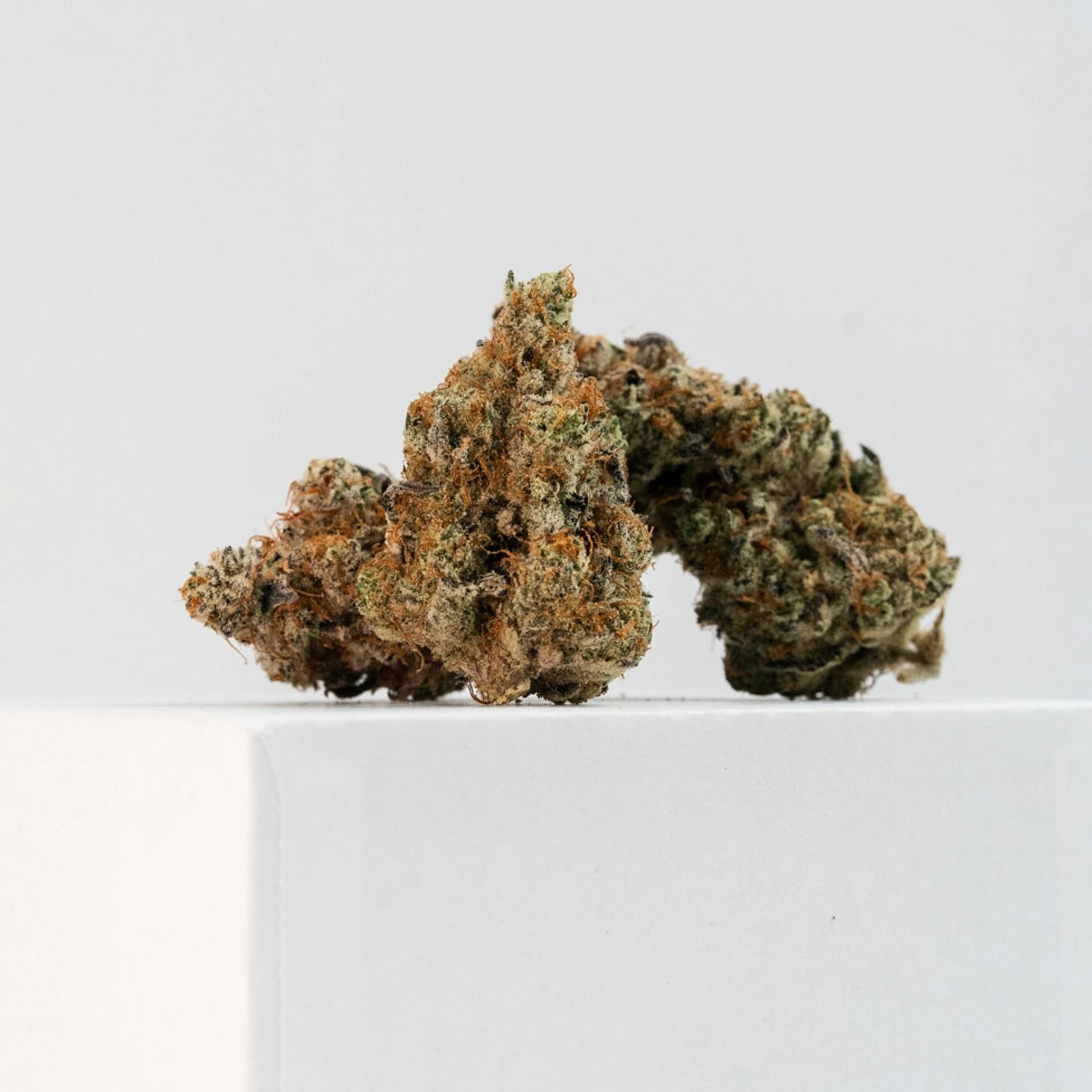 Sugar Cane at Juniper Weed Dispensary Bozeman