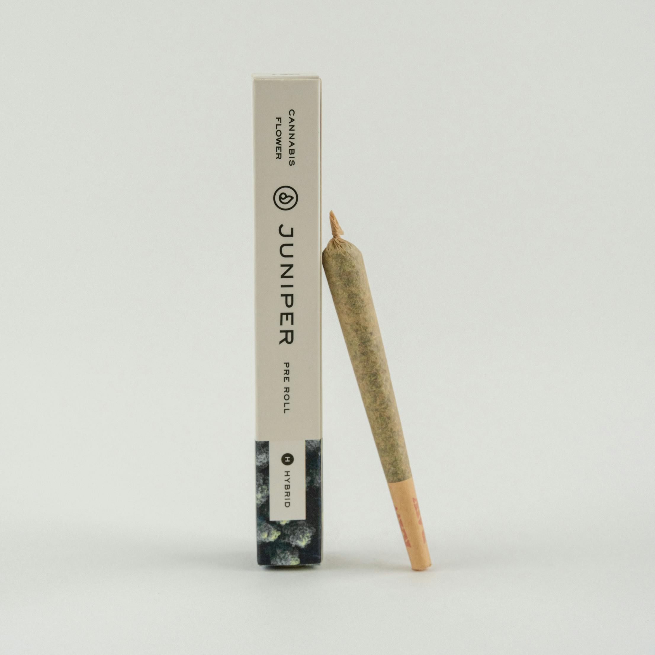 Lemon Cherry Sherbert | Pre-Roll