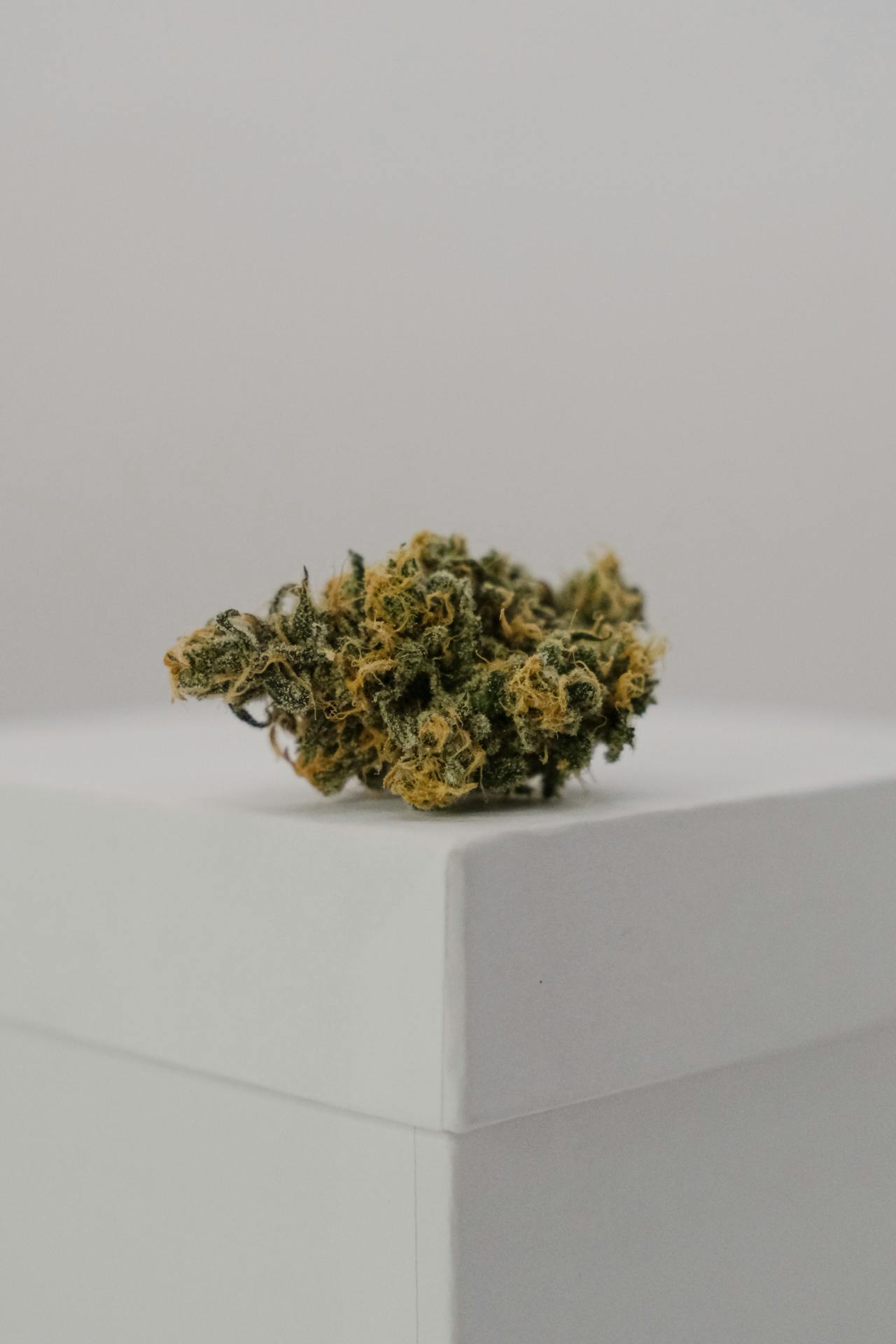 Blue Dream