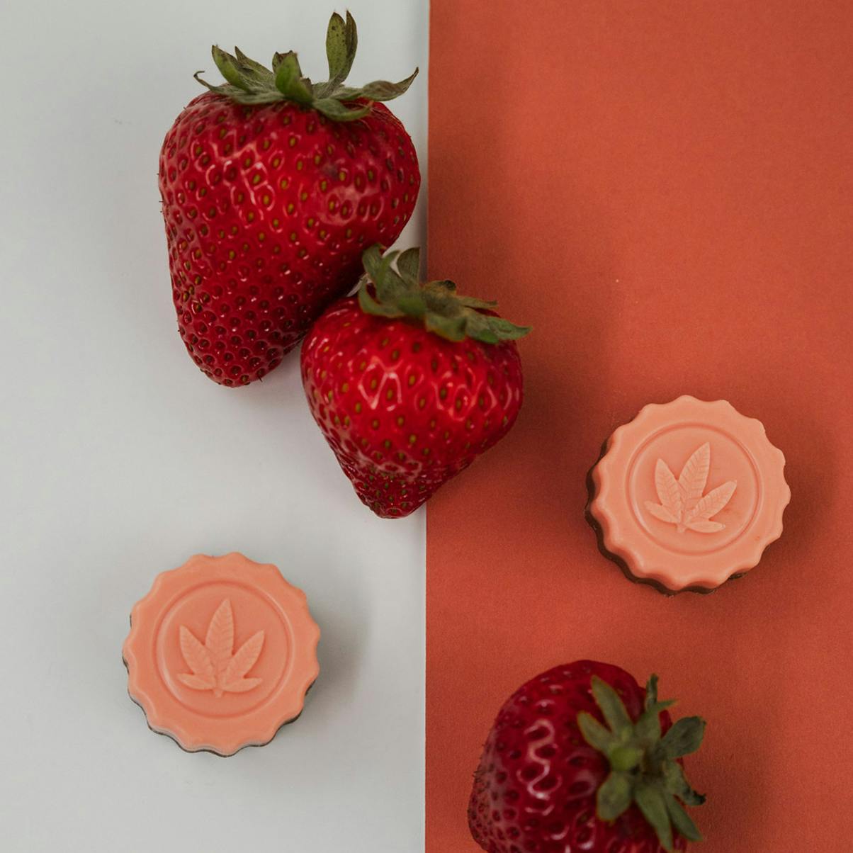Strawberry Cheesecake Chocolates