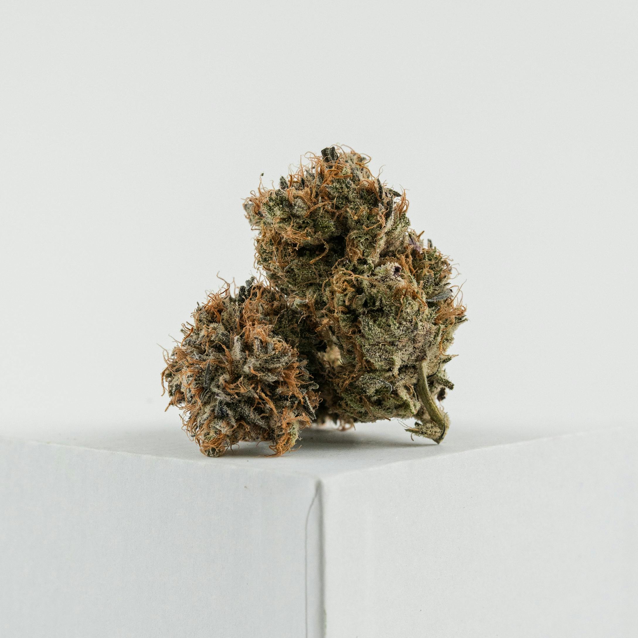Peyote Cookies