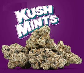 Craft - Kush Mintz Top Shelf Flower 14g