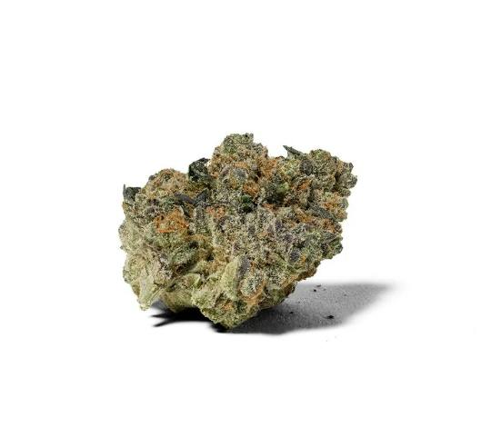 Black Cherry Gelato Gh