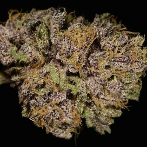 Grape Ape
