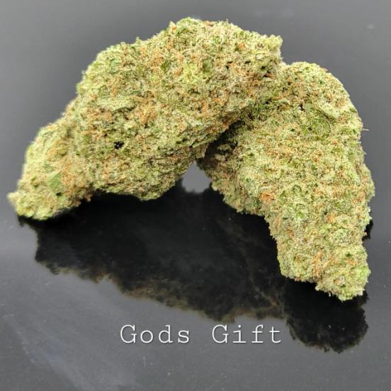 Del Mundo - God's Gift