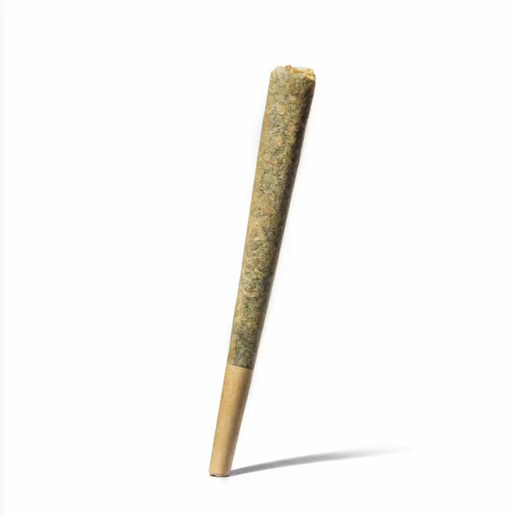 Slow Burn Farms - Speck-X - Pre-Roll 1g