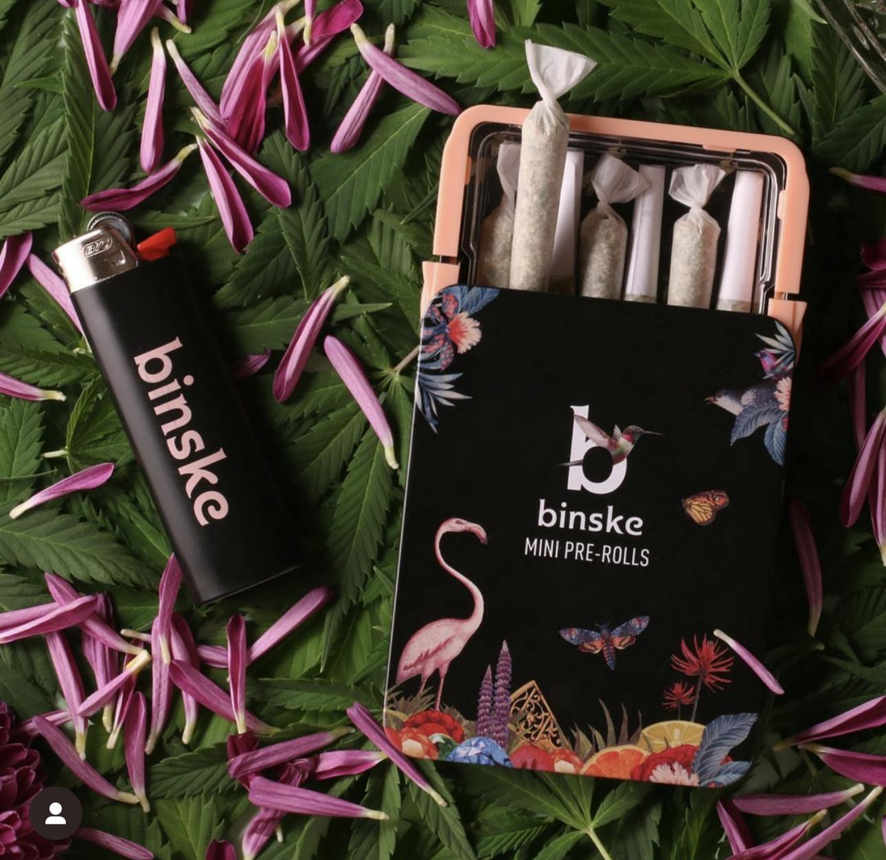 Binske - Project Tangie Rosin Infused Pre-Roll 7-Pack .5g