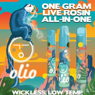 Olio - Strawberry Cream Cake 1g
