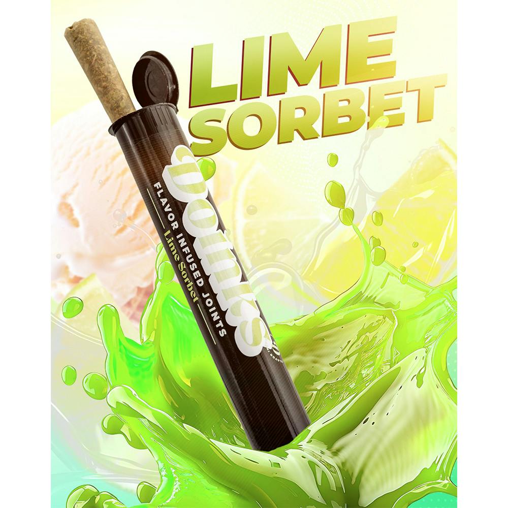 Lime Sorbet [1g] | Doinks - Infused Pre Roll