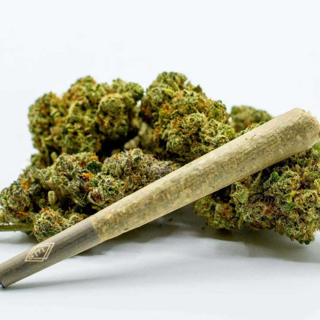 Burban Poison x Jungle Fruit - 1g | Eureka Vapor - CLASSIC Infused Pre-Roll