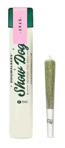 Dogwalkers Point Break Infused Pre-Roll 1g