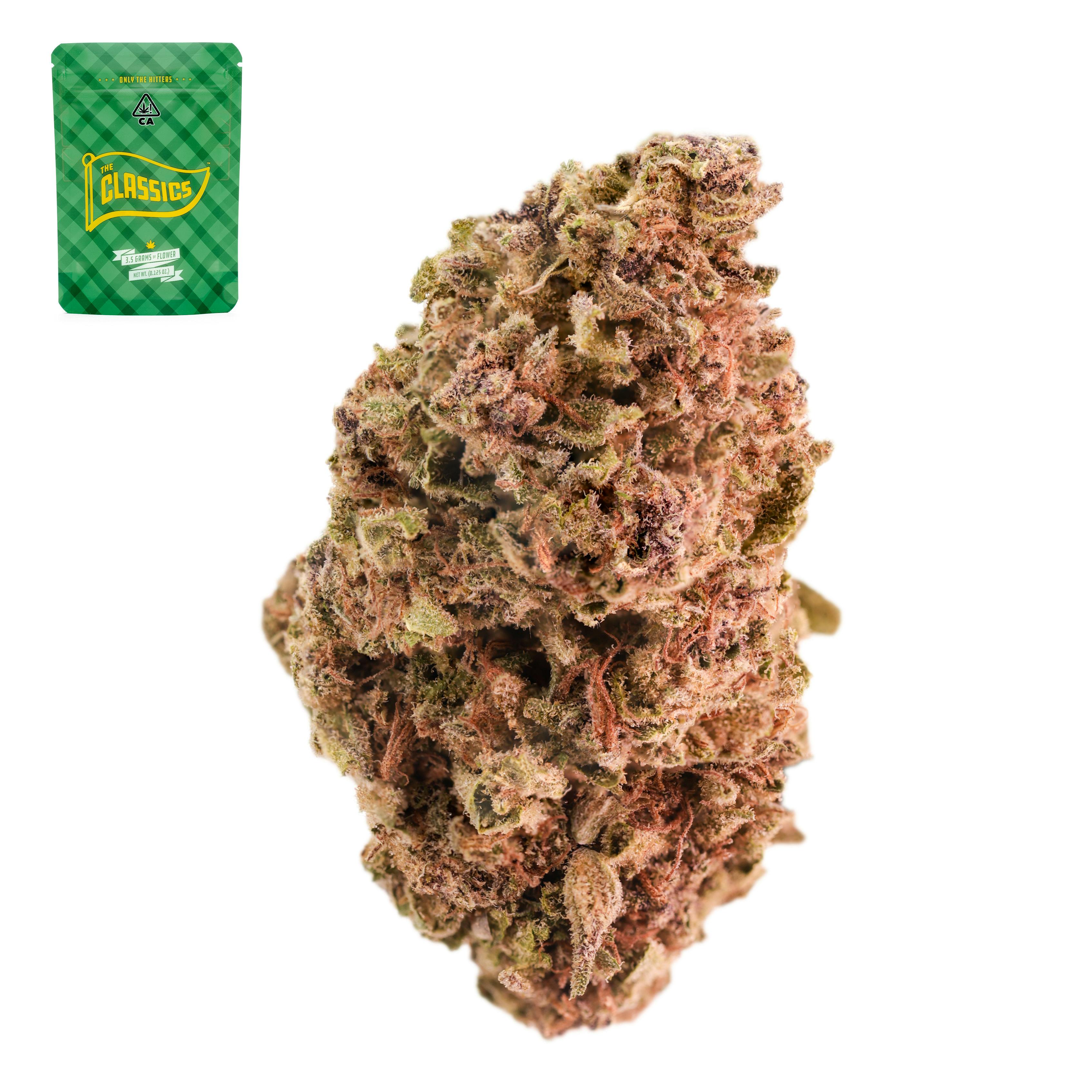 Dutch Treat x Blueberry - 3.5 g