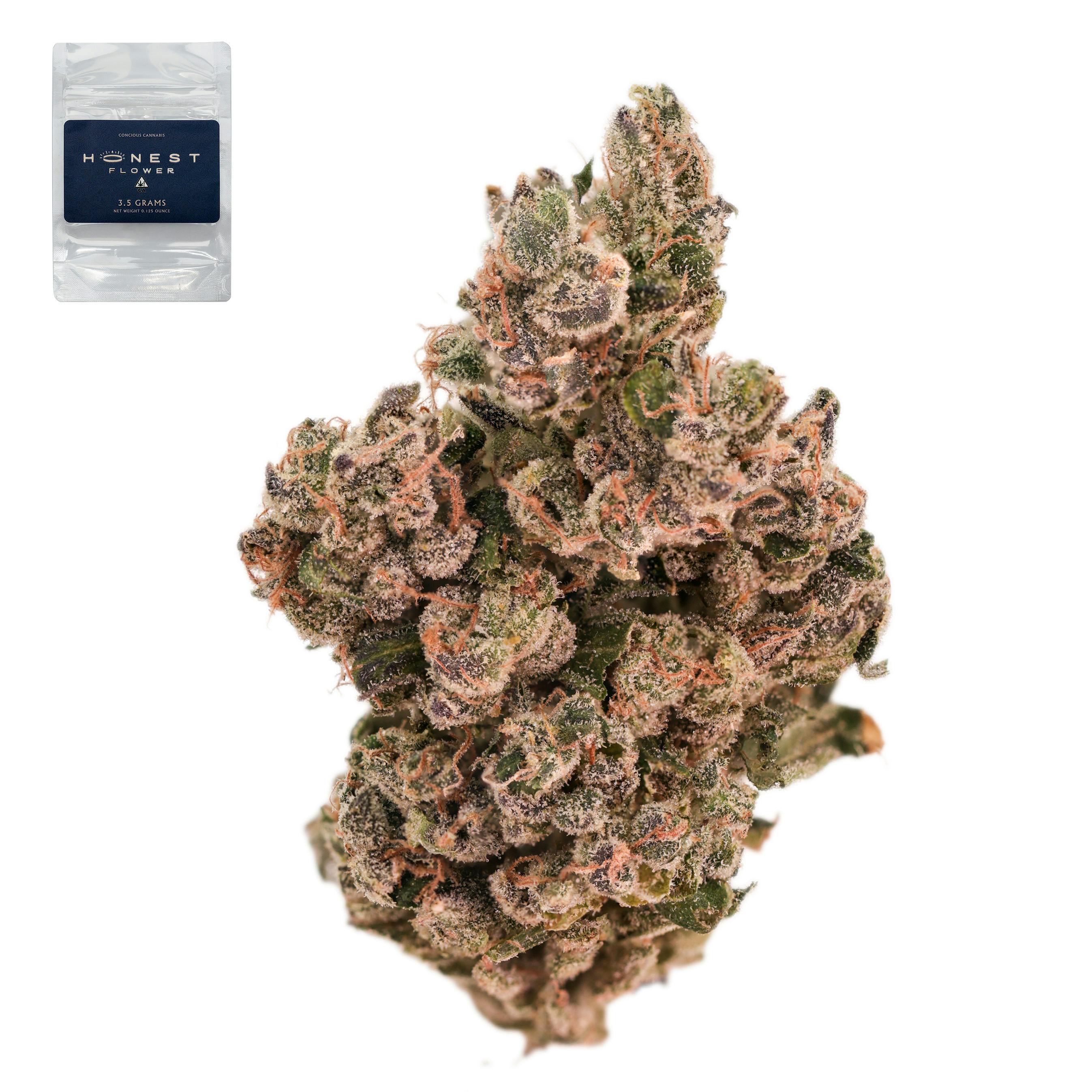 Indiana Headband - 3.5 g