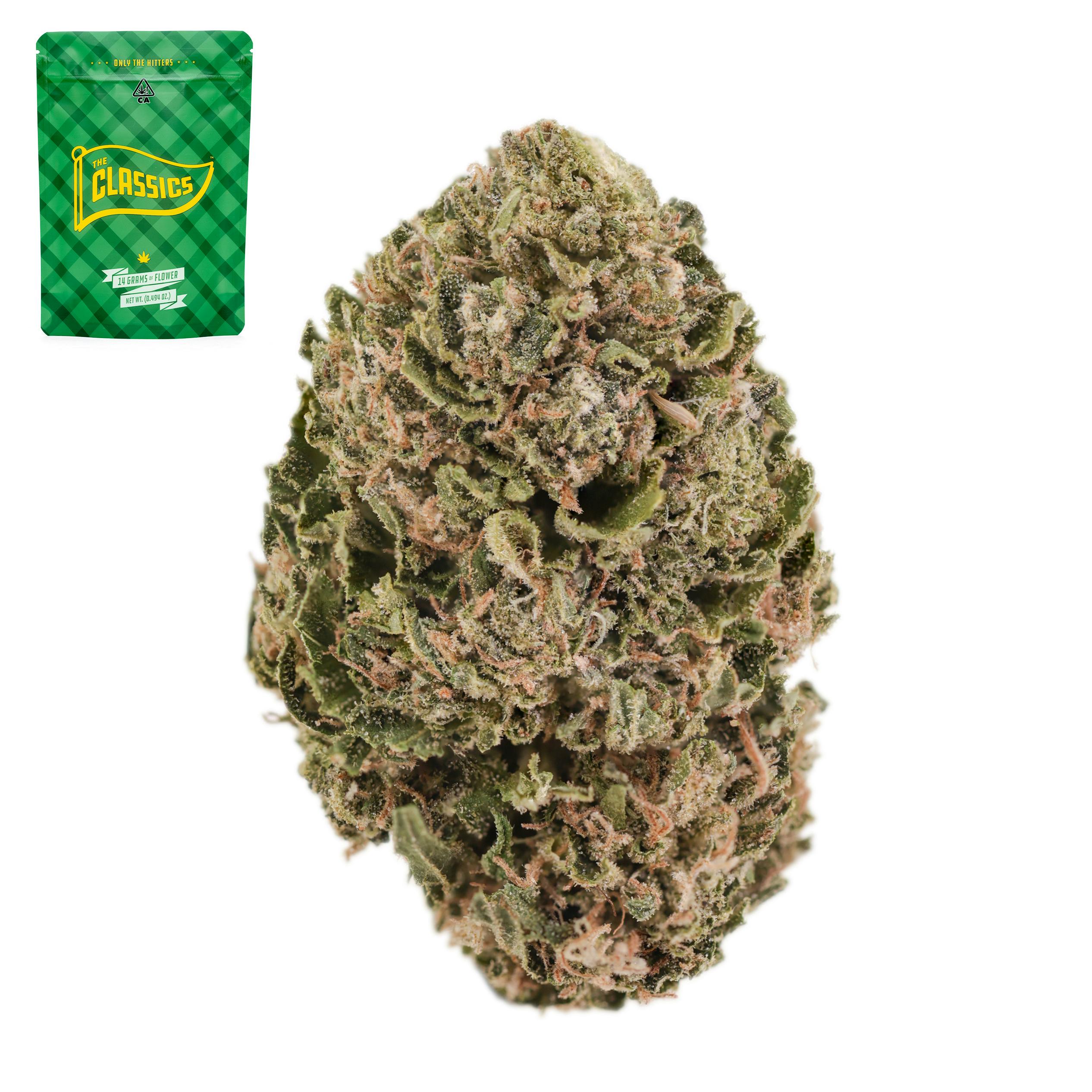 UK Cheese x White Widow - 14 g