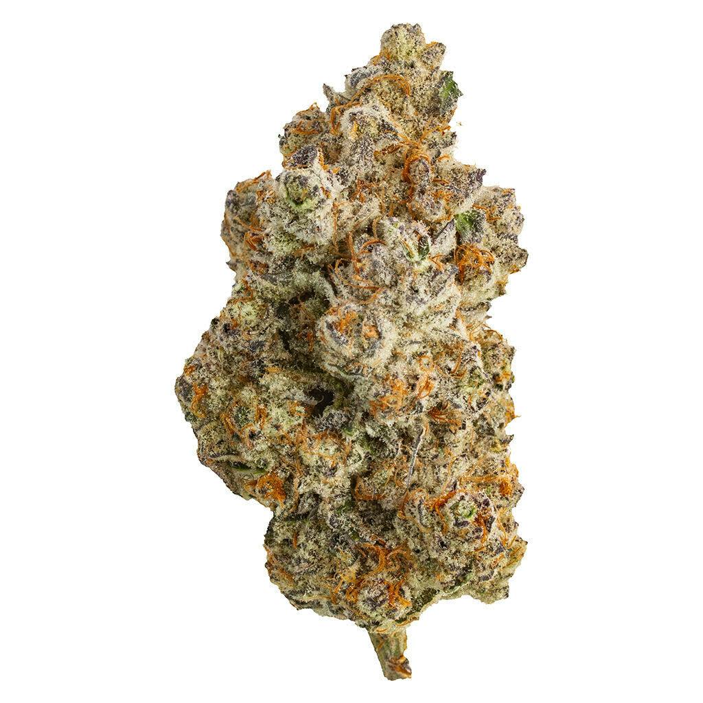 Frost Monster 14g Dried Flower