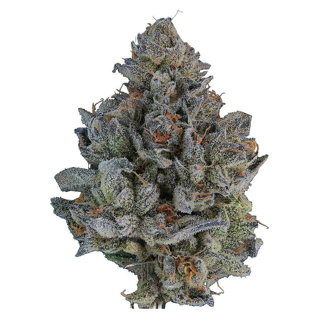 Signal 3.5g Dried Flower