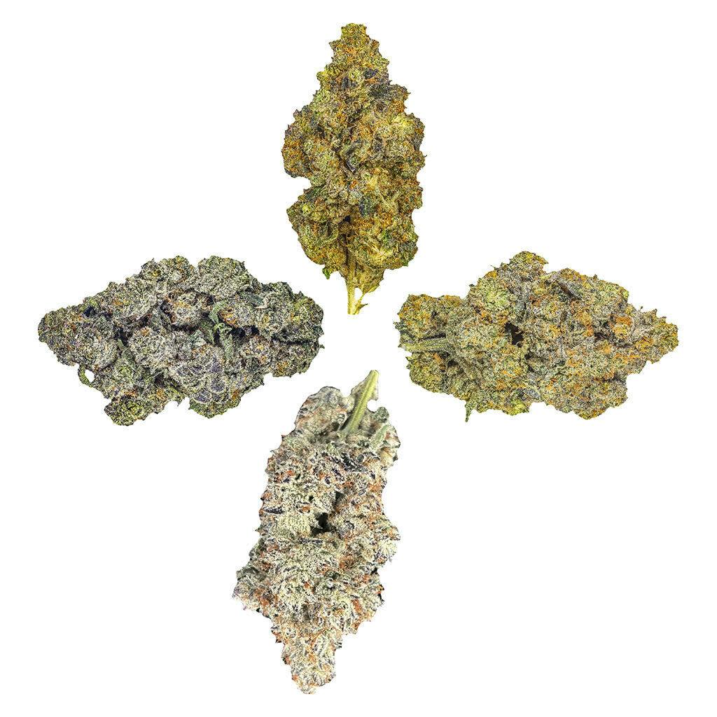 Royal Collection: The Quartet 14g Dried Flower