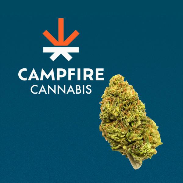 Campfire | Flower - Poison Gushers at North Shore Dispensary