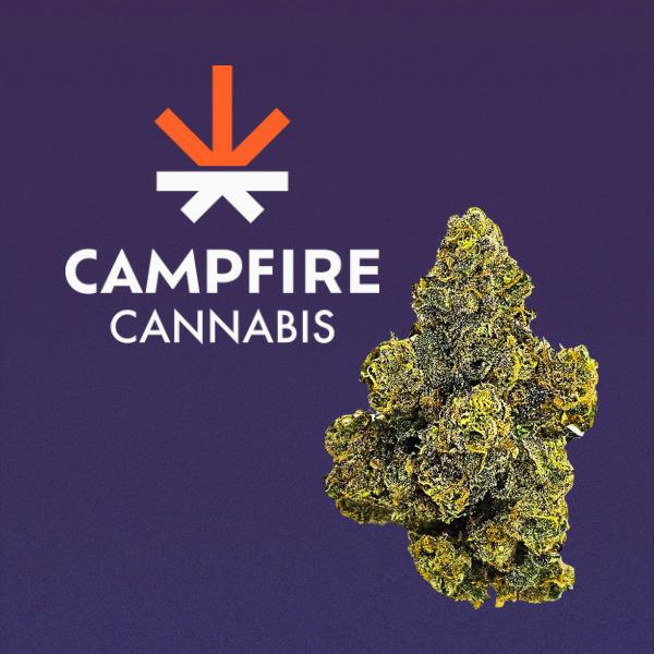 Campfire | Flower - Purple Octane at North Shore Dispensary