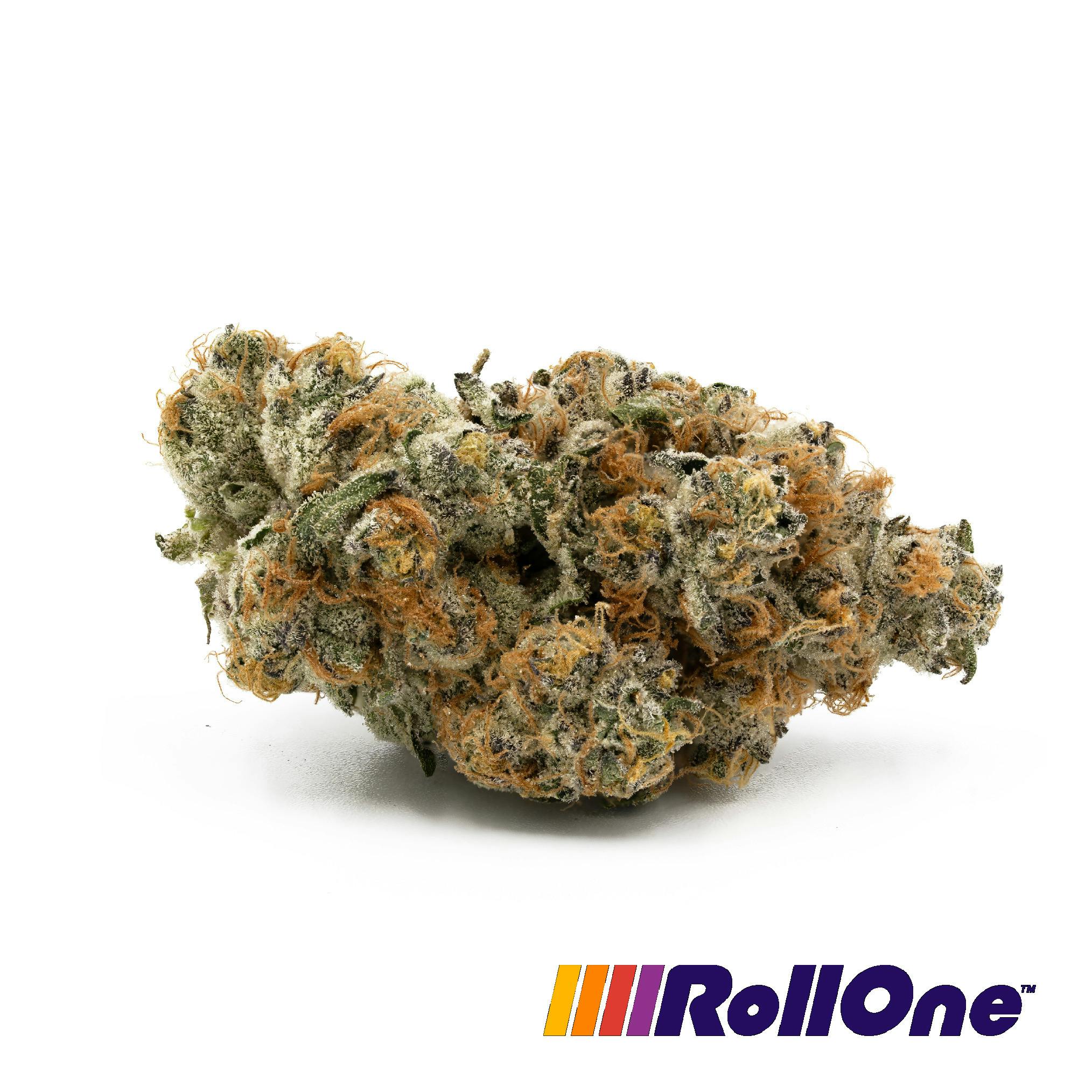 GMO Belts Flower at Trulieve Maricopa Dispensary