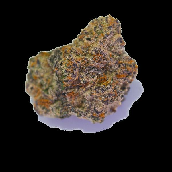 Bolo Marker 12 Premium Flower