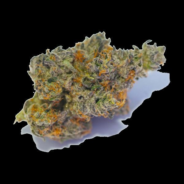 Black Cranberry Premium Flower